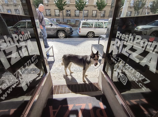 Motorola Edge 40 Neo