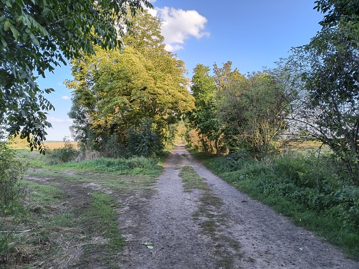 Motorola Edge 40 Neo