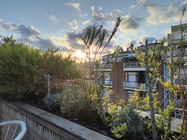 Motorola Edge 40 Neof