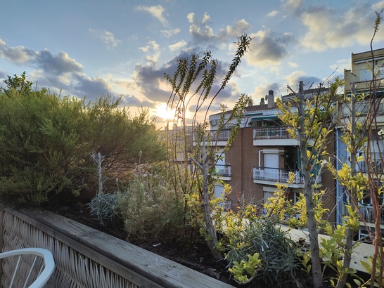 Motorola Edge 40 Neof