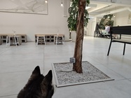 Motorola Edge 40 Pro