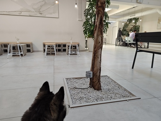 Motorola Edge 40 Pro