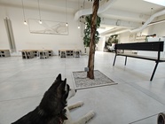 Motorola Edge 40 Pro