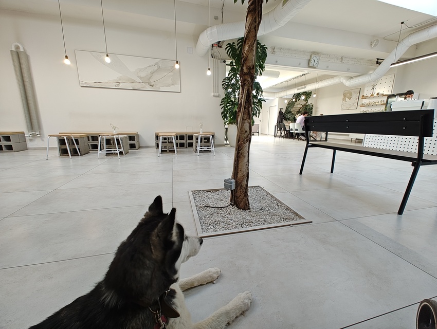 Motorola Edge 40 Pro