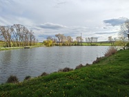 Motorola Edge 40 Pro