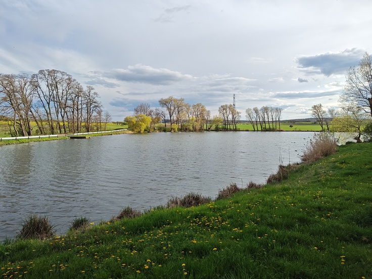 Motorola Edge 40 Pro