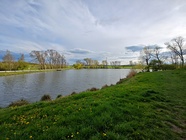 Motorola Edge 40 Pro