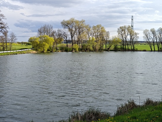 Motorola Edge 40 Pro