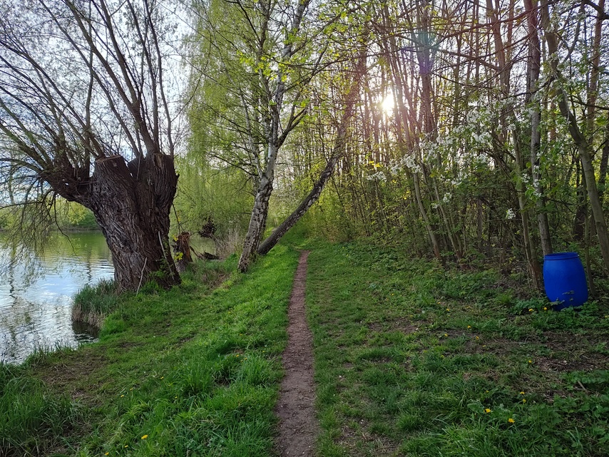 Motorola Edge 40 Pro