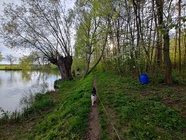 Motorola Edge 40 Pro