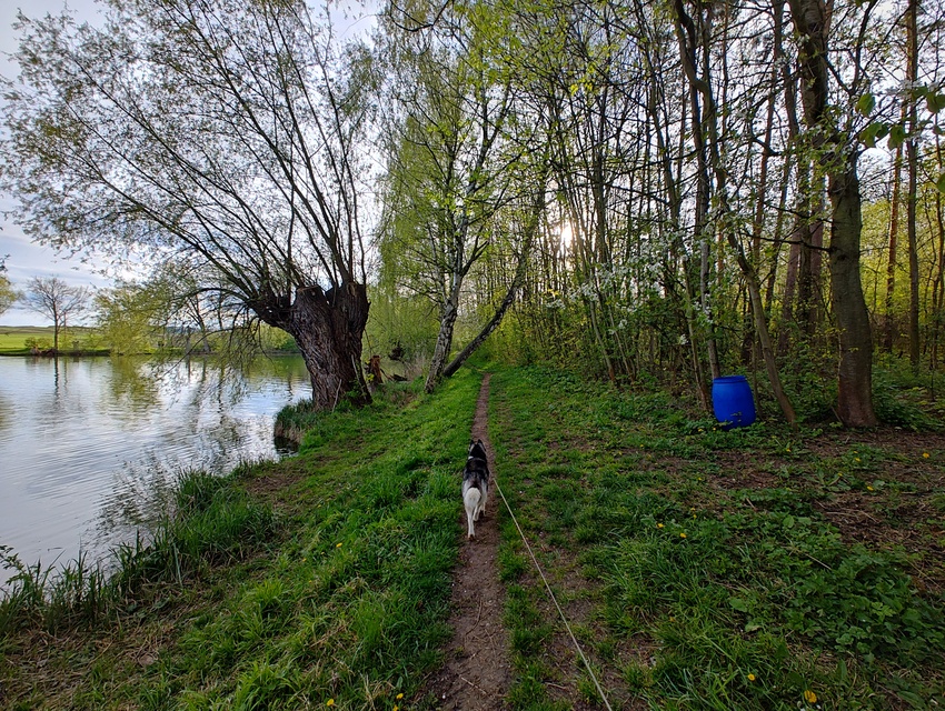 Motorola Edge 40 Pro