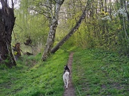 Motorola Edge 40 Pro