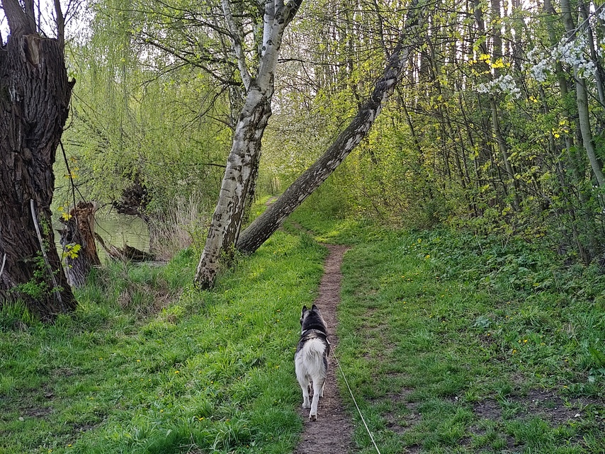 Motorola Edge 40 Pro