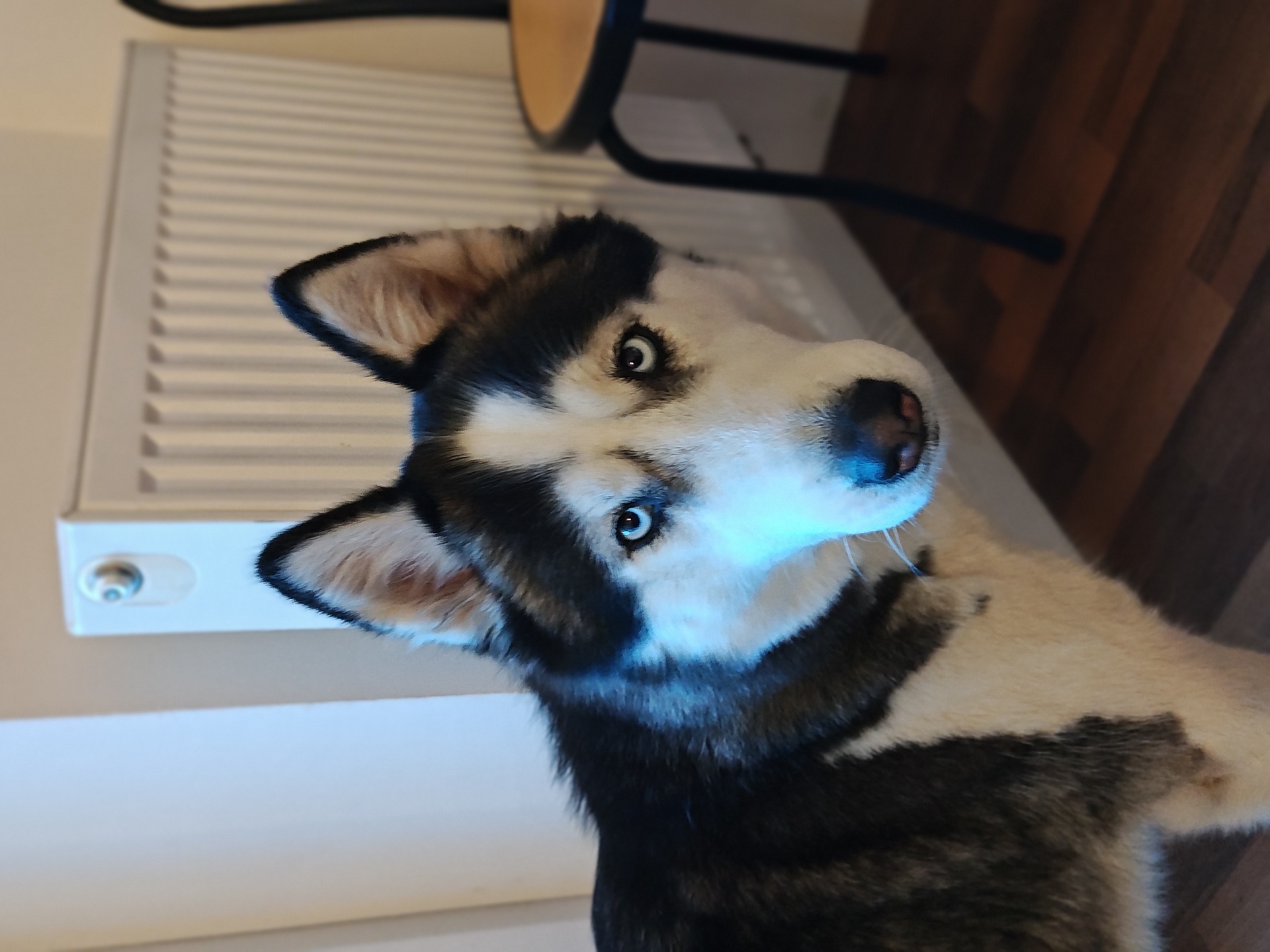 Motorola Edge 40 Pro