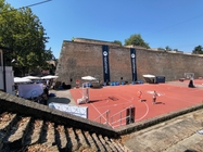 Motorola Edge 50 Neo