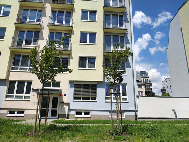 Motorola Edge 50 Pro