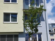 Motorola Edge 50 Pro