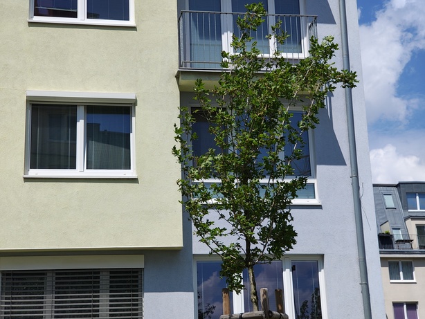 Motorola Edge 50 Pro