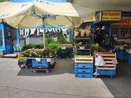 Motorola Edge 50 Pro