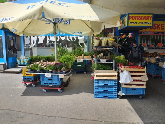 Motorola Edge 50 Pro