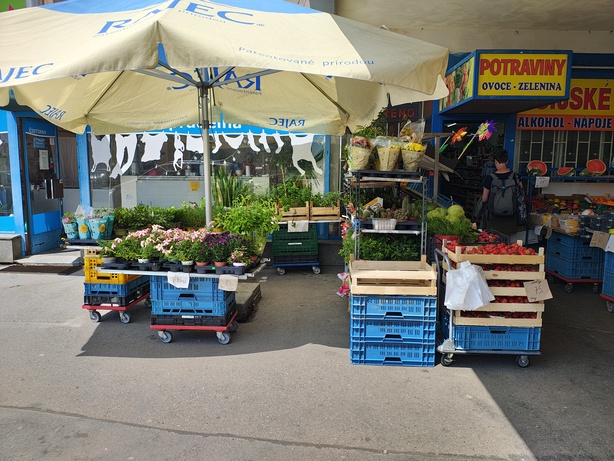 Motorola Edge 50 Pro