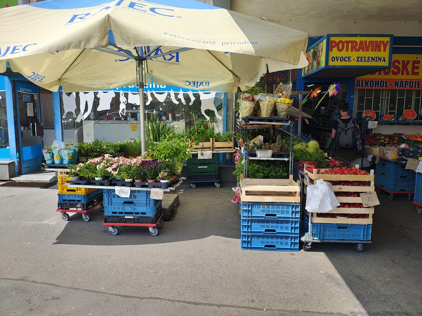 Motorola Edge 50 Pro