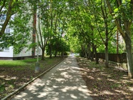 Motorola Edge 50 Pro