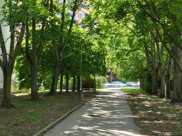 Motorola Edge 50 Pro