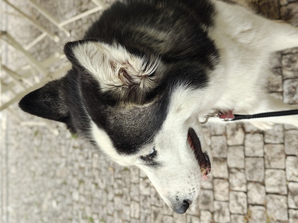 Motorola Edge 50 Ultra