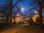 Motorola Edge 60 Fusion