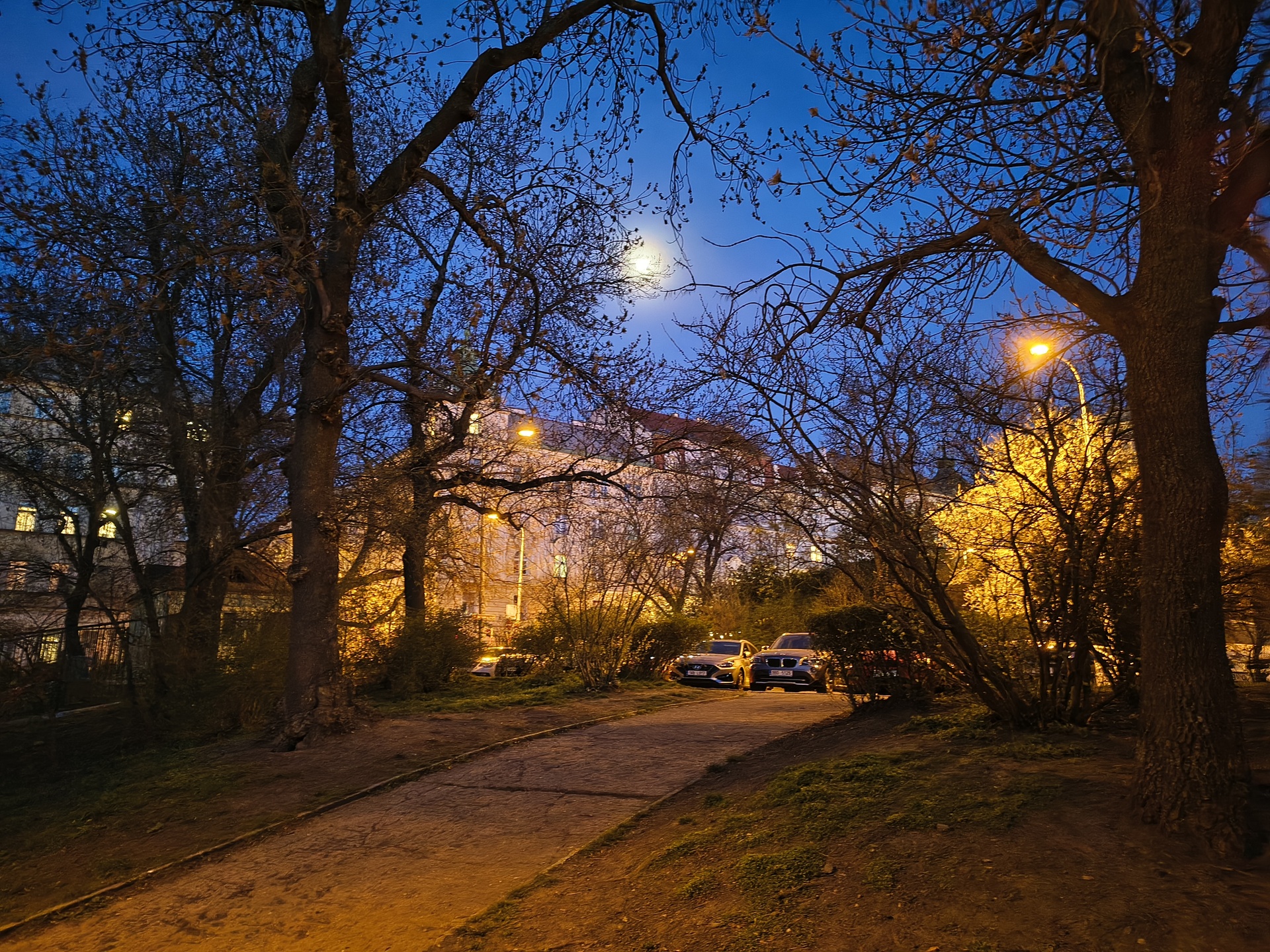 Motorola Edge 60 Fusion