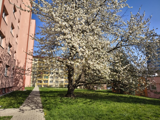 Motorola Edge 60 Fusion