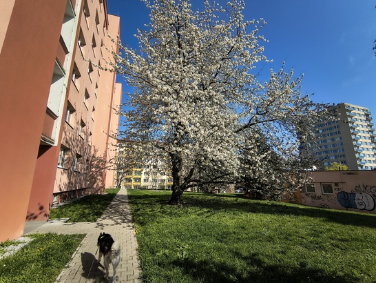 Motorola Edge 60 Fusion