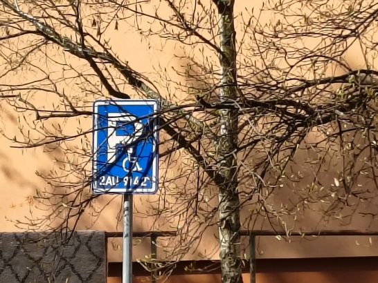 Motorola Edge 60 Fusion