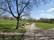 Motorola Edge 60 Fusion