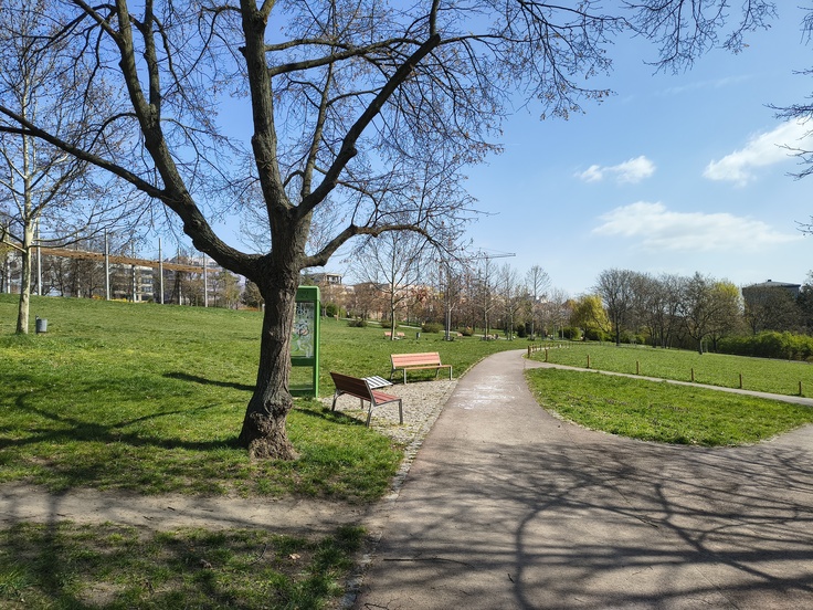 Motorola Edge 60 Fusion