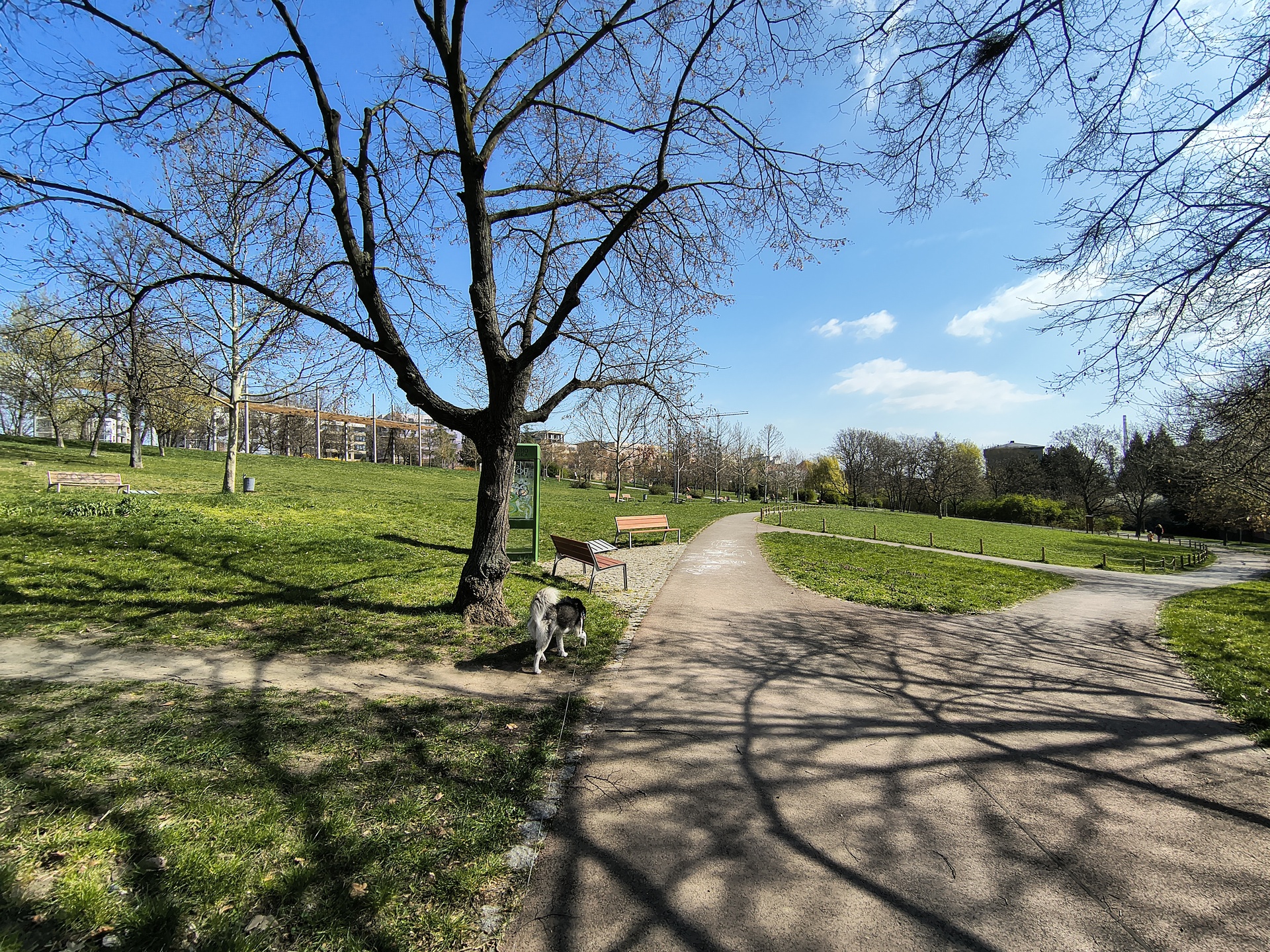 Motorola Edge 60 Fusion