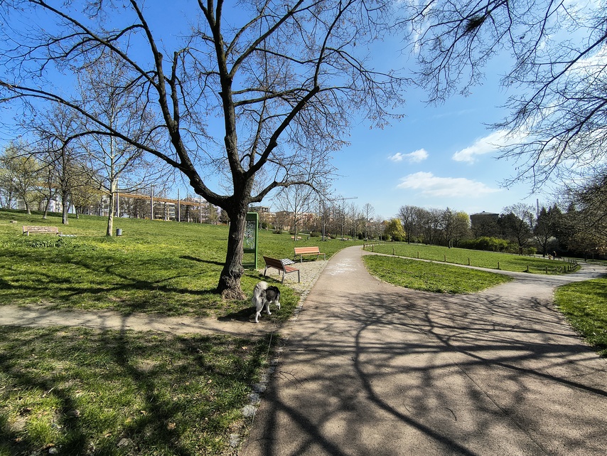 Motorola Edge 60 Fusion