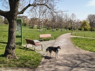 Motorola Edge 60 Fusion