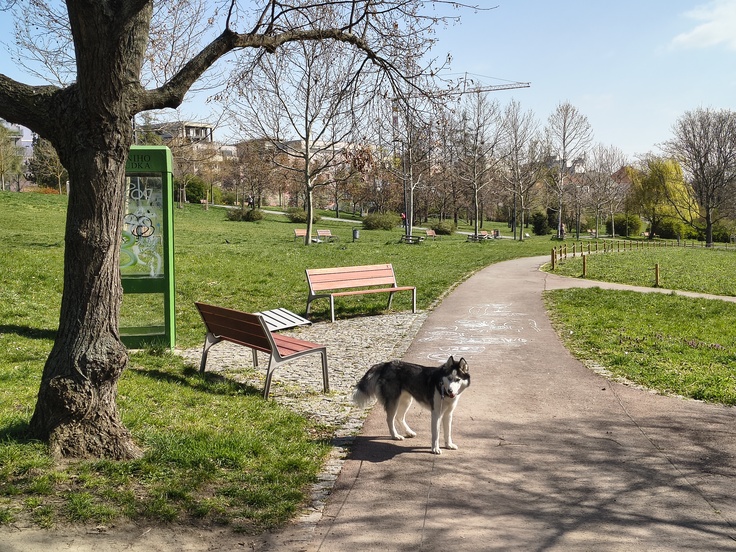 Motorola Edge 60 Fusion