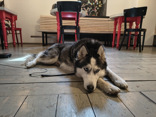 Motorola Edge 60 Fusion