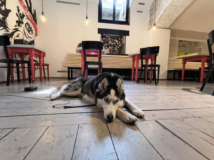 Motorola Edge 60 Fusion