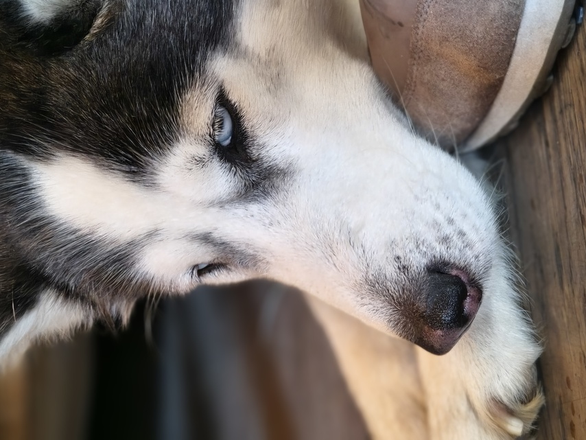 Motorola Edge 60 Pro