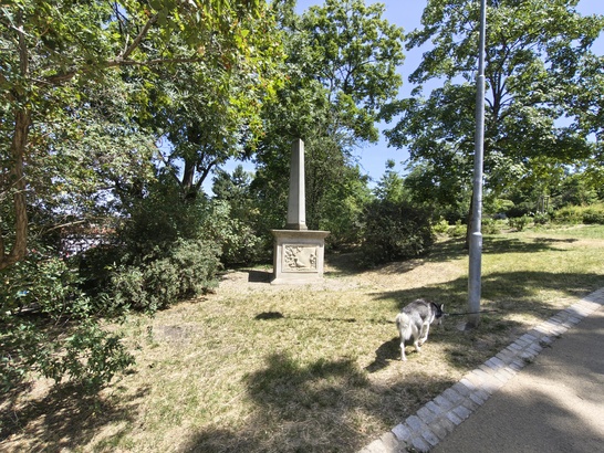 Motorola Edge 60 Pro