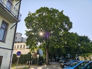Motorola Edge 70 Pro