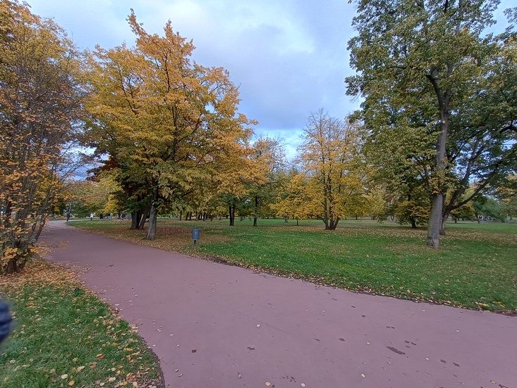 Motorola G54 Power Edition