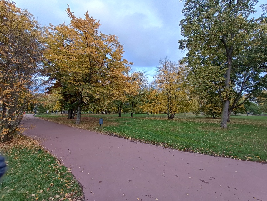 Motorola G54 Power Edition