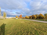 Motorola G54 Power Edition