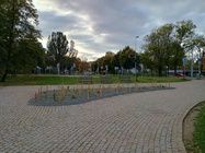 Motorola G54 Power Edition