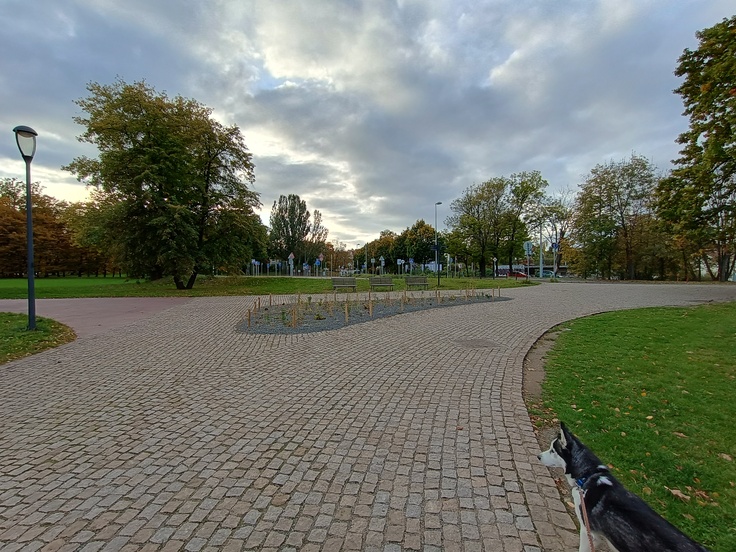 Motorola G54 Power Edition